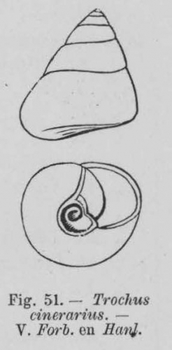 Eben (1884, figuur 51) Eben (1884, figuur 51)