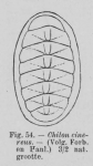 Eben, W.