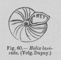 Eben (1884, figuur 60), author: Anoniem in Eben (1884)