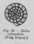 Eben, W.