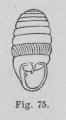 Eben (1884, figuur 75)