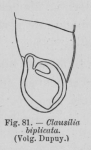 Eben (1884, figuur 81)