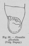 Eben (1884, figuur 82)