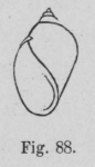 Eben (1884, figuur 88)