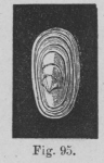 Eben (1884, figuur 95)