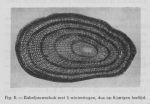 Gilis, Ch. (1939). Korte inhoud van de wetenschappelijke voordrachten gegeven door den heer Charles Gilis, Laboratoriumleider van het Zeewetenschappelijk Instituut te Oostende aan de visschers en de leerlingen van de visschersscholen van Blankenber