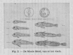 <B>Gilis, Ch.</B> (1940). Korte inhoud van de wetenschappelijke voordrachten gegeven door den heer Charles Gilis, Laboratoriumleider van het Zeewetenschappelijk Instituut te Oostende aan de visschers en de leerlingen van de visschersscholen van Blankenber