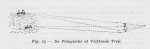 Gilis, Ch. (1957). Voordrachten in verband met de zeevisserij gehouden door Ch. Gilis, technisch adjunct aan het Zeewetenschappelijk Instituut, aan de leerlingen van de visserijscholen in 1957. Zeewetenschappelijk Instituut: Oostende. 50 pp.
