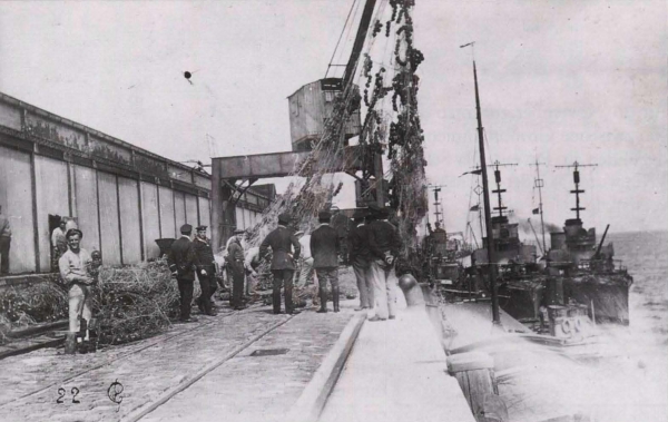 Ryheul (1997, fig. 112)