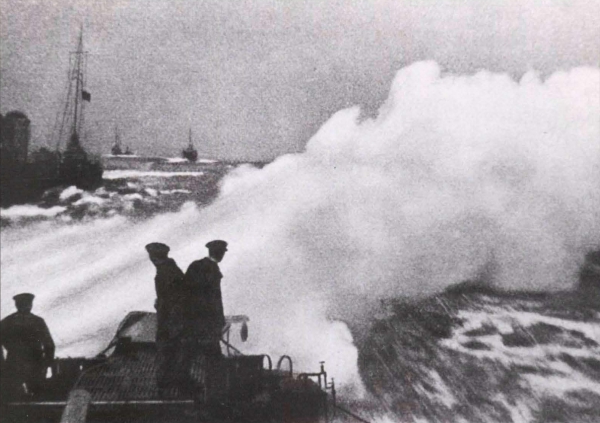 Ryheul (1997, fig. 115)