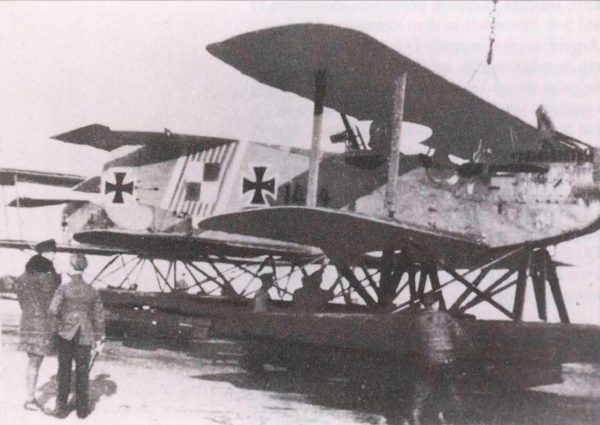 Ryheul (1997, fig. 144)