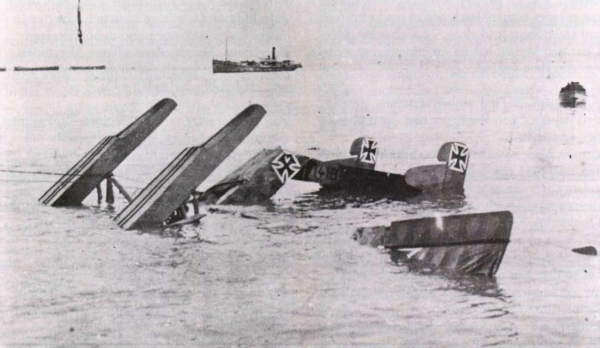 Ryheul (1997, fig. 146)