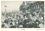Vandeput (1932, pl. 209), author: Maelstaf in Vandeput (1932)
