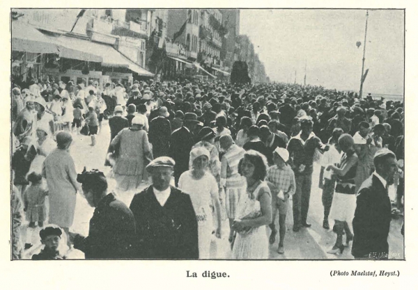 Vandeput (1932, pl. 213)