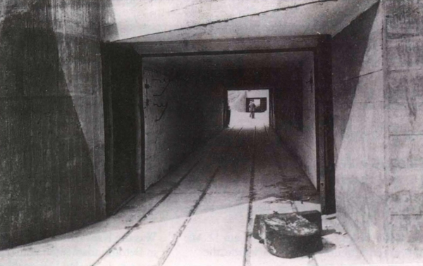 Ryheul (1997, fig. 176)