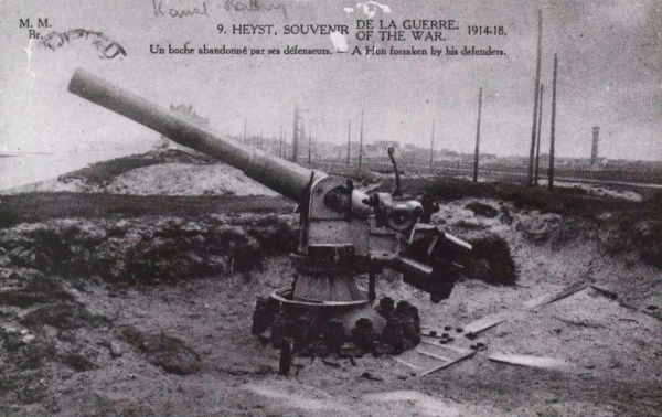 Ryheul (1997, fig. 195)