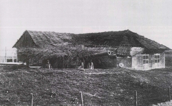 Ryheul (1997, fig. 212)