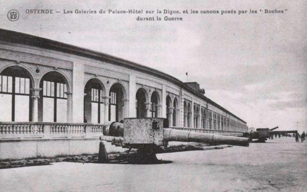 Ryheul (1997, fig. 213)