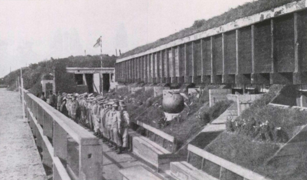 Ryheul (1997, fig. 215)