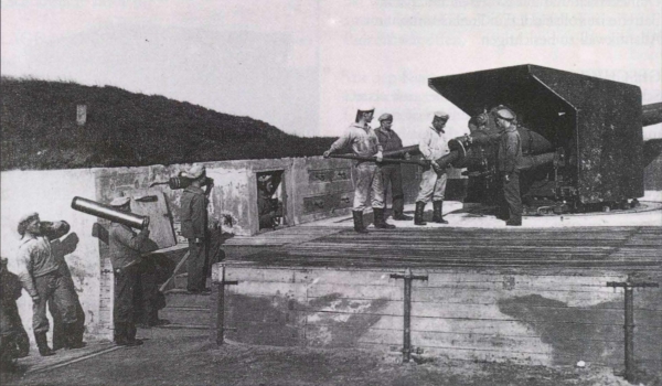 Ryheul (1997, fig. 216)