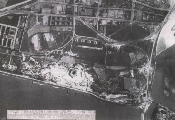 Ryheul (1997, fig. 222)