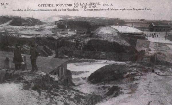 Ryheul (1997, fig. 223)