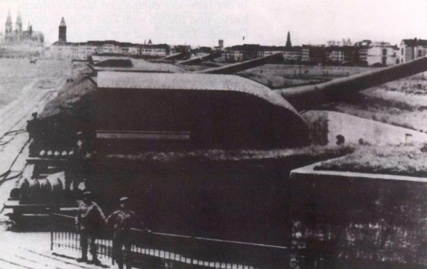 Ryheul (1997, fig. 224)