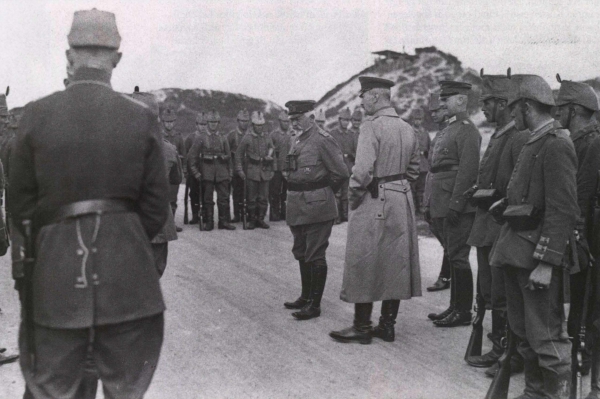 Ryheul (1997, fig. 229)