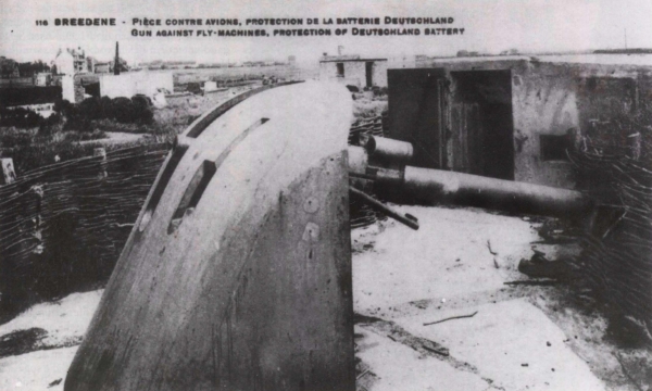 Ryheul (1997, fig. 232)