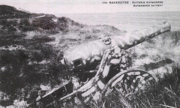 Ryheul (1997, fig. 233)