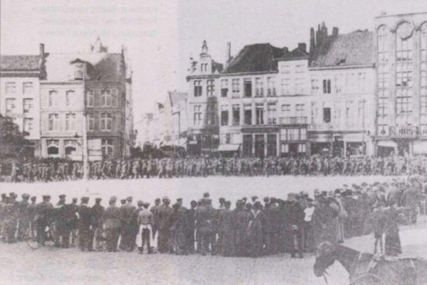 Ryheul (1997, fig. 237)