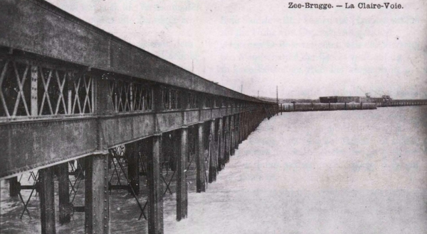 Ryheul (1997, fig. 256)