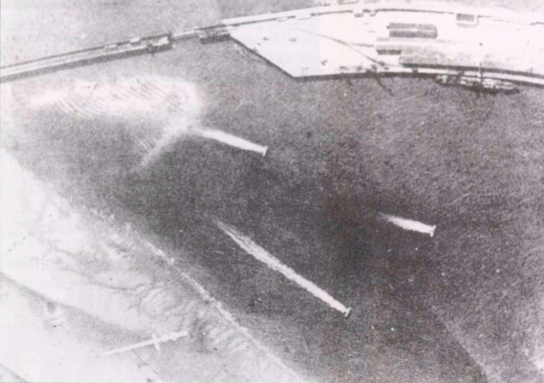 Ryheul (1997, fig. 258)