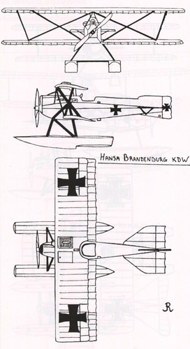 Ryheul (1997, fig. 312)