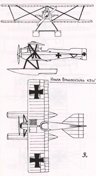 Ryheul (1997, fig. 312)