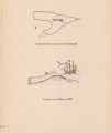 Denucé & Gernez (1936, Pl. 01.1)