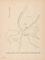 Denucé & Gernez (1936, Pl. 04.3)