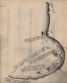 Denucé & Gernez (1936, bl. 26)