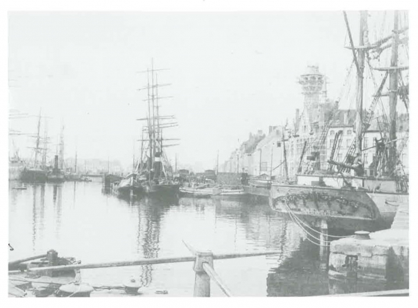 Van Caillie (1983, pl. 35)