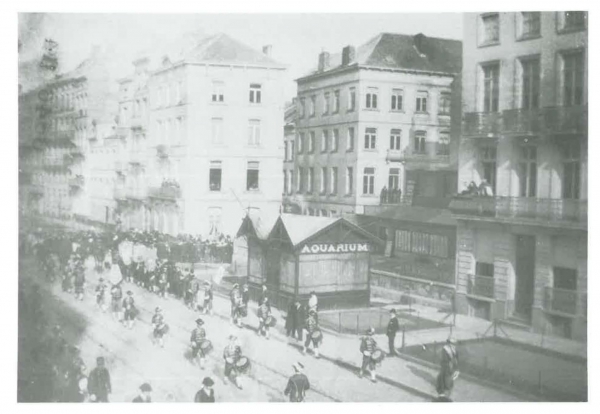 Van Caillie (1983, pl. 62)