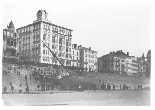 Van Caillie (1983, pl. 123)