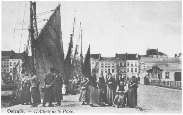 Van Caillie (1983, pl. 145)