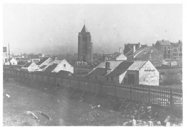 Van Caillie (1983, pl. 187)