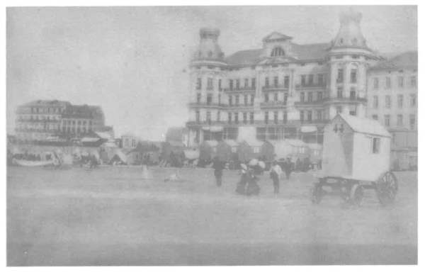 Van Caillie (1985, pl. 13)