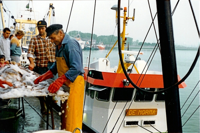 Lading van de N.402 De Norma (Bouwjaar 1963) lossen