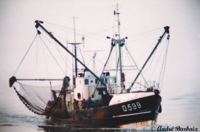 O.599 Zeevogel (bouwjaar 1964)