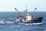 Oostende
