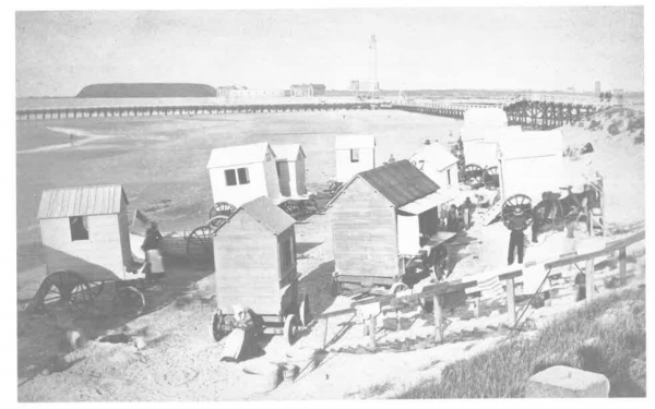 Van Caillie (1987, pl. 18)