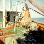 Kuil lossen op de N.41 Ter Streep (Bouwjaar 1973), author: Onbekend