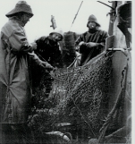 Werken aan boord & wal